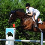 Horseback Riding