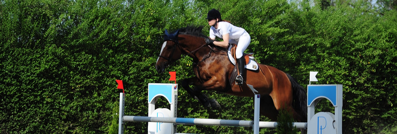 Horseback Riding