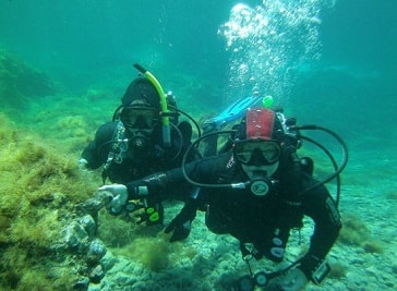 Mister Jump Diving in Ustica