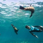 Scuba Diving